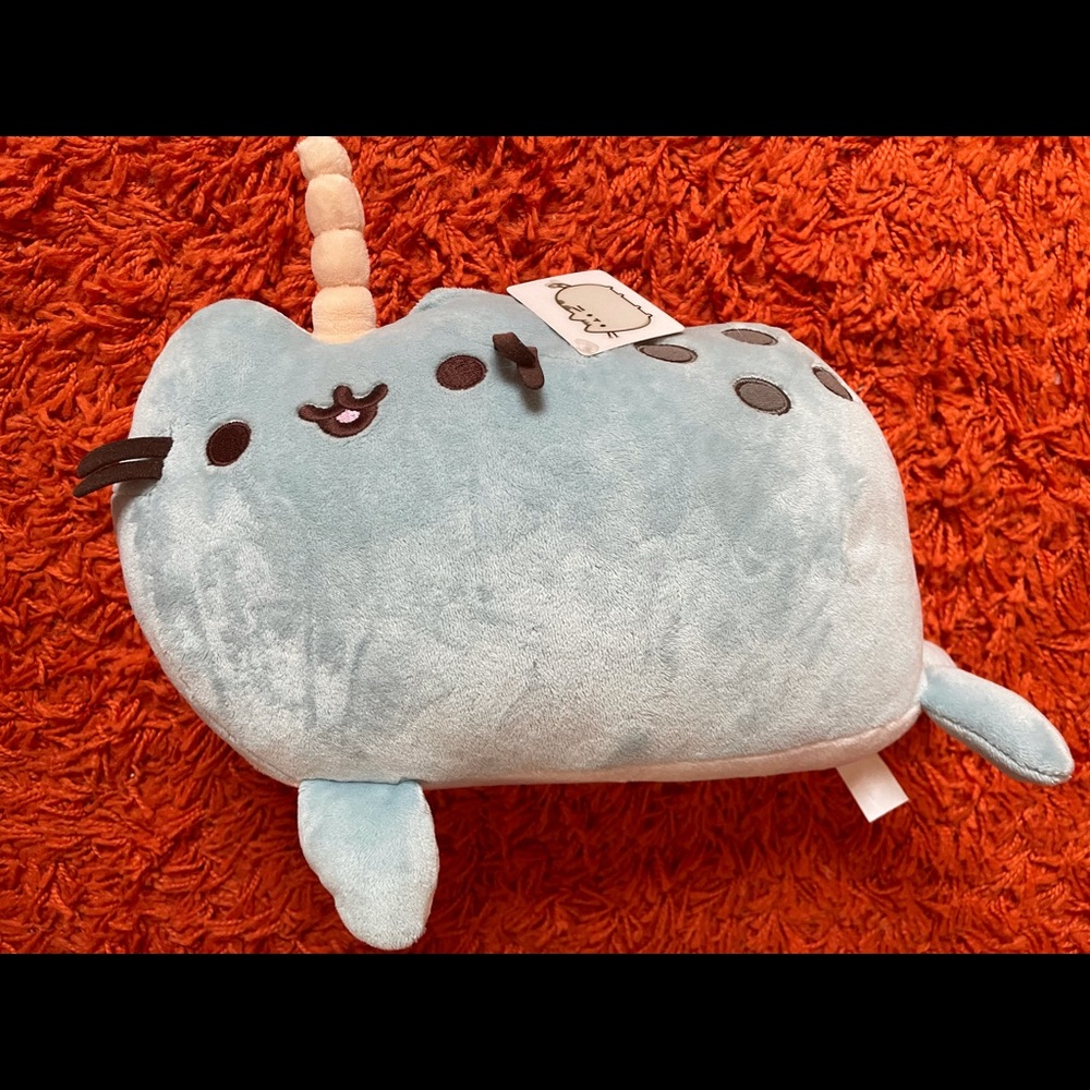 Bundle of pusheen plush and slippers